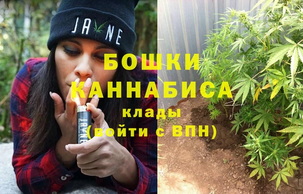 амф Ветлуга