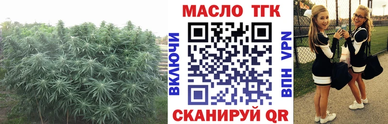 ТГК вейп с тгк  сколько стоит  сайты даркнета состав  Советск 