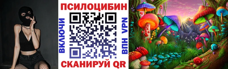 mega ссылка  Советск  Псилоцибиновые грибы мицелий  даркнет сайт 